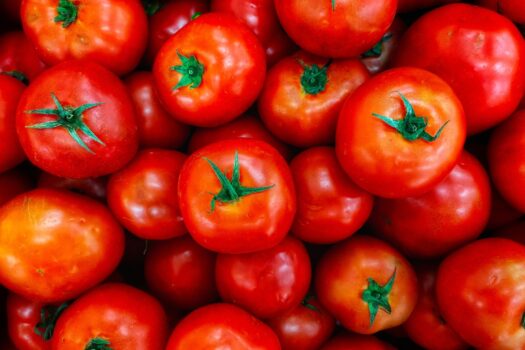 tomate acido urico